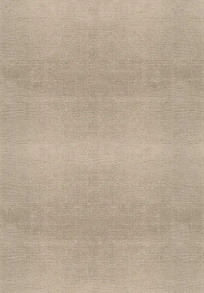 Art Silk Rug