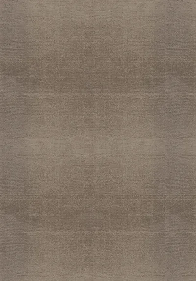 Art Silk Rug