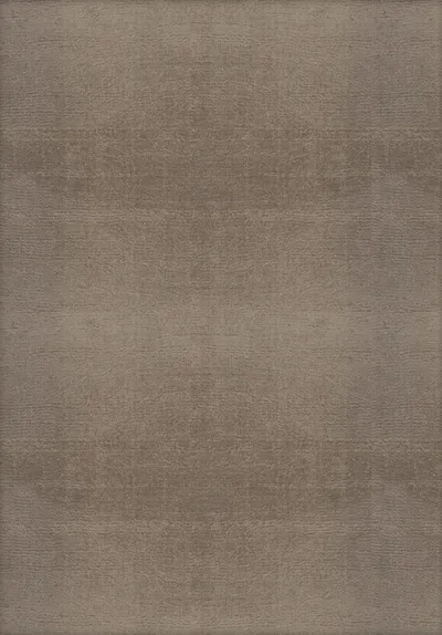 Art Silk Rug